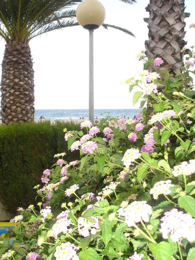 Apartament Del Mar Miami Playa Eksteriør bilde